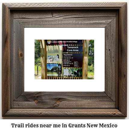 trail rides near me in Grants, New Mexico